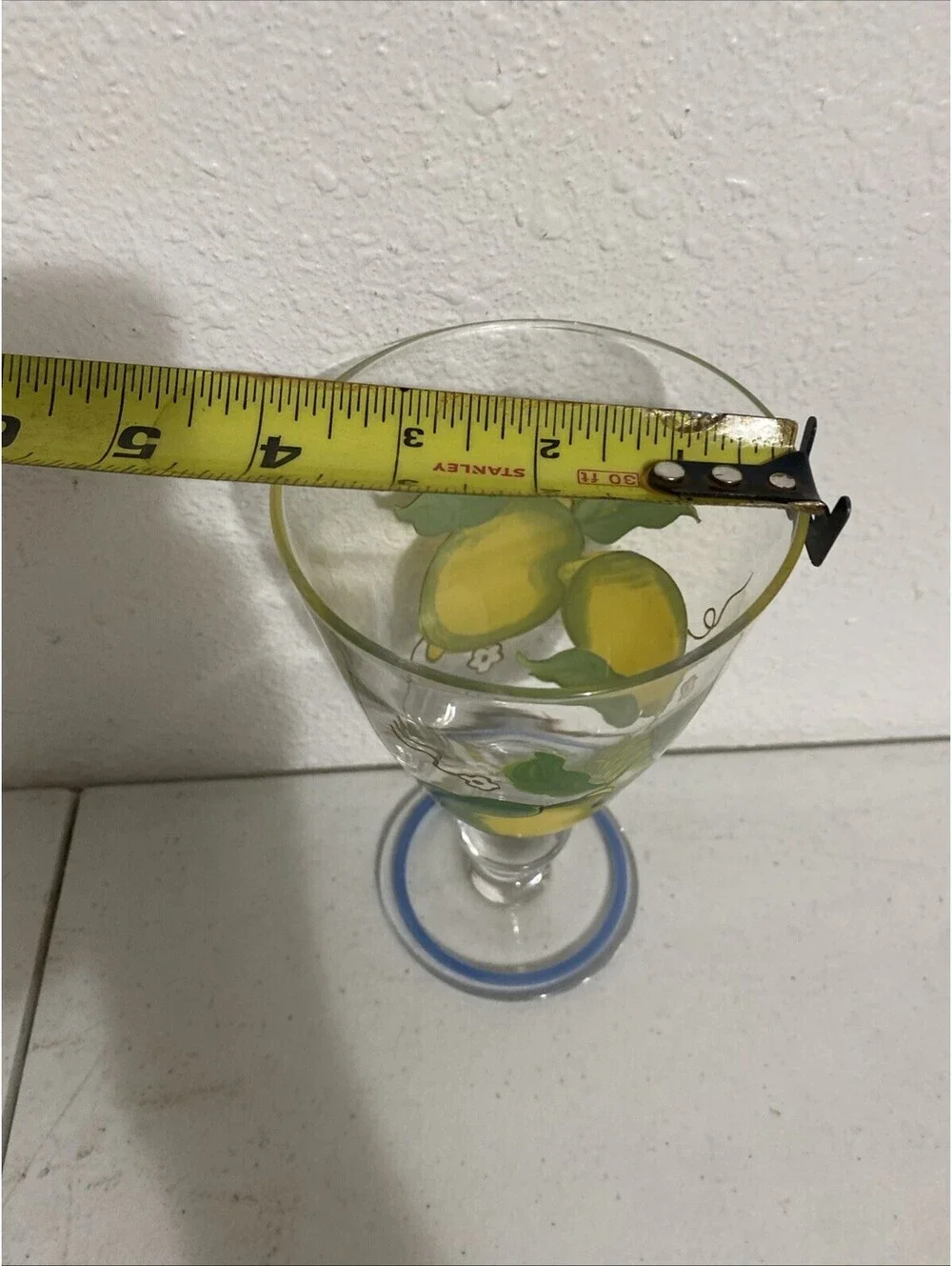 Glass Hand Painted Fruit  Water Juice Pitcher Glasses Fall Summer Colorful Clear